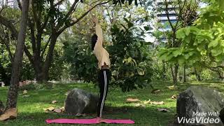 Sun Salutation A By Mook