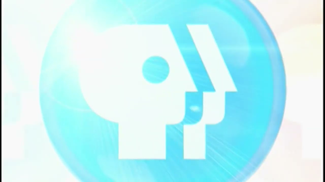 FBI Warning Screen PBS DVD 2004