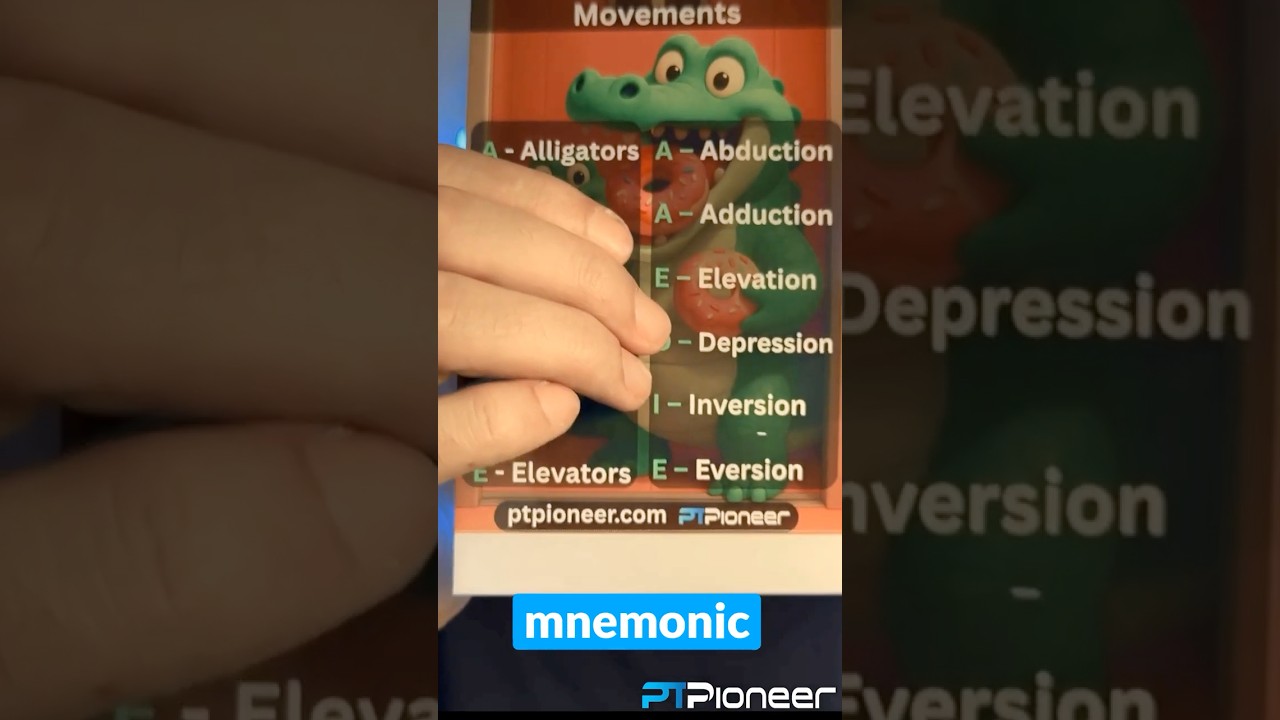 💥Frontal Plane Movements for NASM CPT + Mnemonic & Quiz