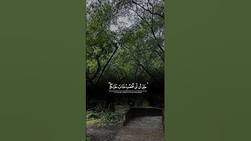 سورة المزمل💚✨ #اكسبلور #لايك #سورةالمزمل #القرآن_الكريم