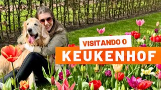 EXPLORANDO O ENCANTADOR PARQUE DAS TULIPAS NA HOLANDA  + DICAS ESSENCIAIS