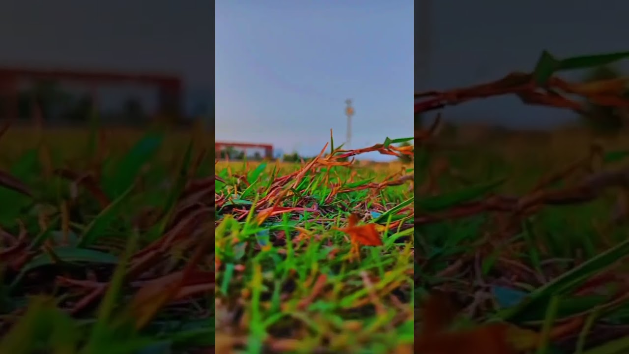 Bhakkar Cricket Ground