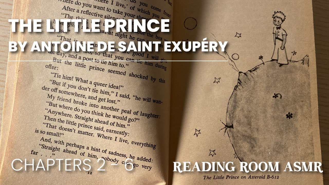 How To Live Like the Little Prince Book