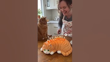 Halloween Cheese Cat Cake Cutting - Cat Freaks Out! #ai #sora2 #aivideo #shorts