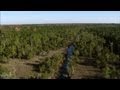 Francis Marion and American Revolution