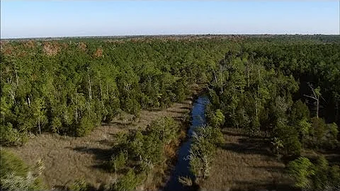 How Francis Marion Became the Father of Guerrilla ...
