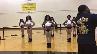 DIVA Auxiliary Danceline 2016✨