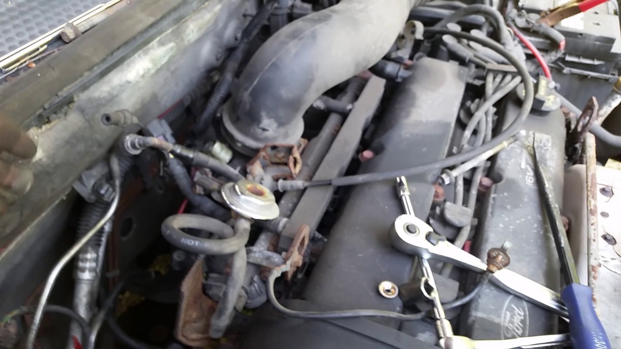 04 ford focus alternator replacement