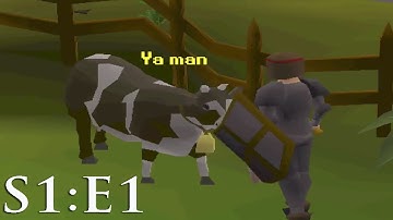 According to J1m: How I Remember Cook