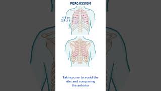 Assessment Clips: Assessment of the thorax and lungs