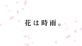 花は時雨。