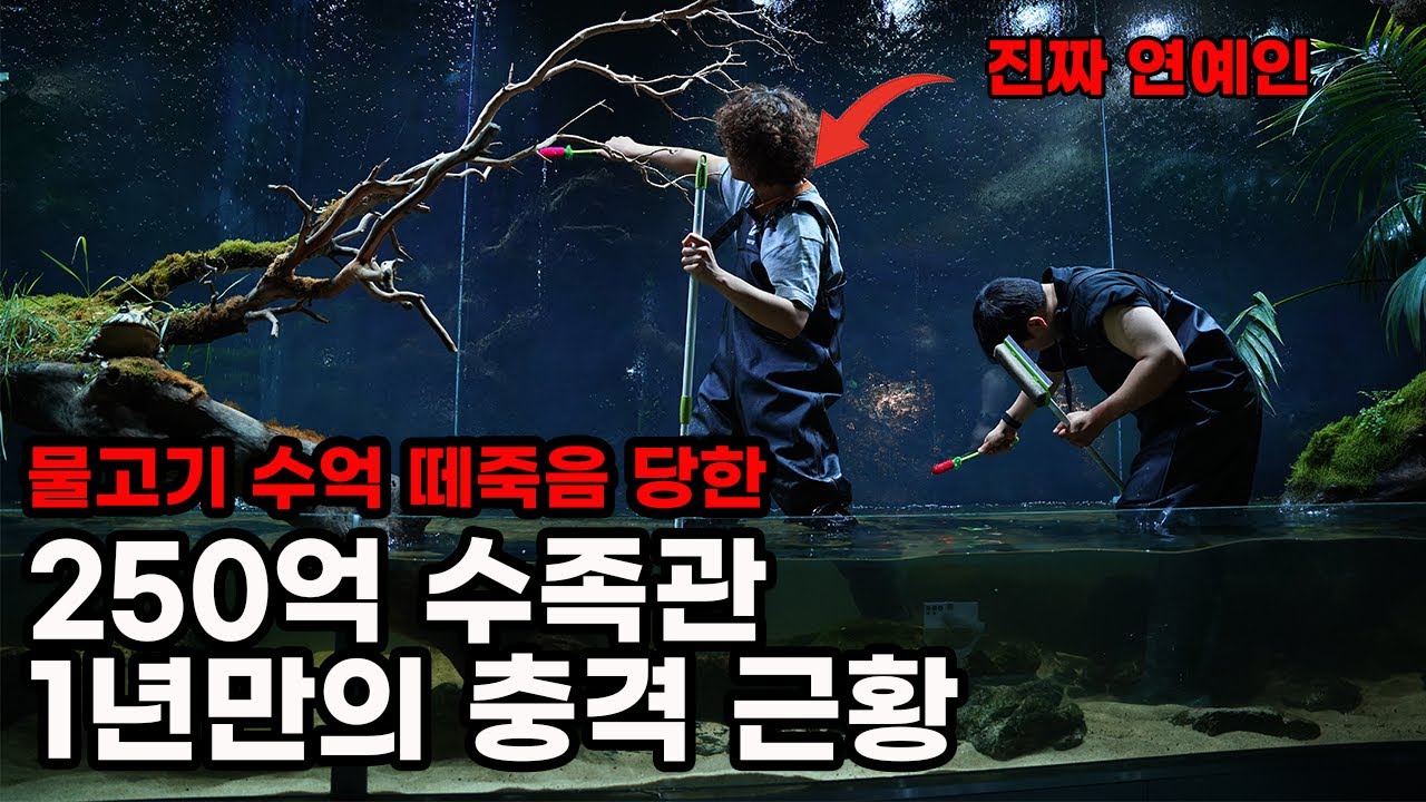 모두가 망할거라던 250억 수족관을 연예인과 12시간 점검하기(수억원어치 물고기가 폐사한 아쿠아가든 일산점 1년만의 근황)