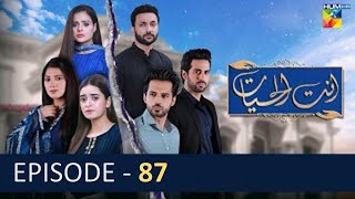 Antul Hayat - Episode 87 | 26th Oct 2022 | Presented by AMIR DRAMAS TV