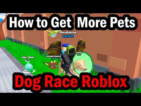How to Get and Equip More Pets By Opening More Eggs in Dog Race Roblox