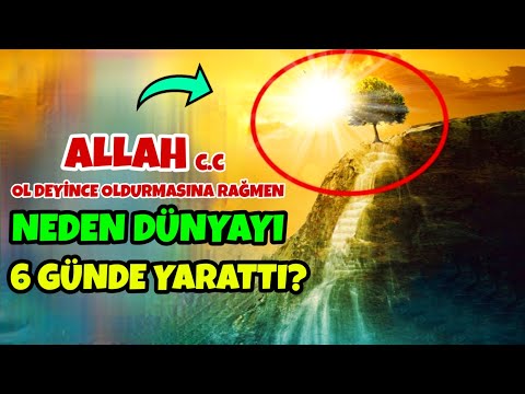 Video: 600 milyon yıl önce hangi zaman dilimiydi?