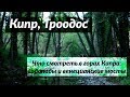 #105 Кипр, Троодос: Кто построил ЭТО? Заброшенные венецианские мосты в горах