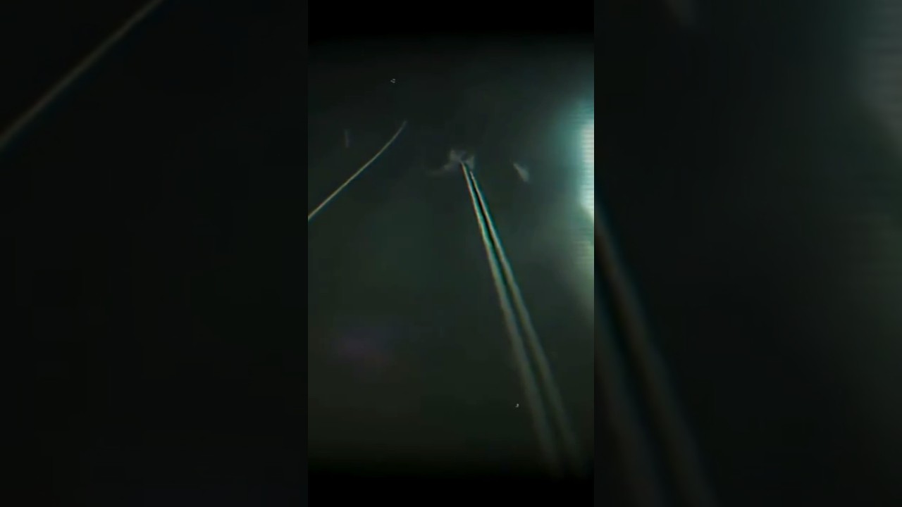 Encuentros aterradores en carreteras 