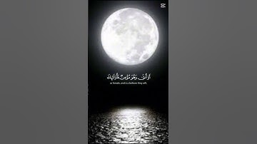 القرآن الكريم الشيخ ياسر الدوسري🤍🤍