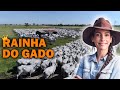 CONHEÇA A MAIOR PECUARISTA DO BRASIL - A Rainha do gado