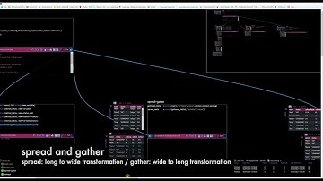 Using the cast and melt / reshape / gather and spread  functions in R