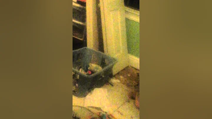 How to clean your room!!