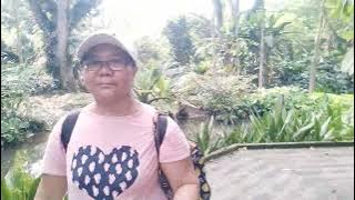 At Botanical Garden Singapore 🇸🇬 Everyone Welcome to my YouTube channel Thank you
