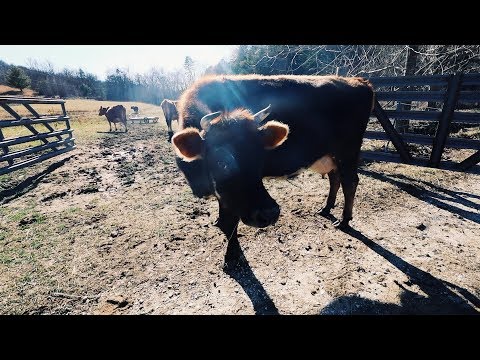 Farmers Time this