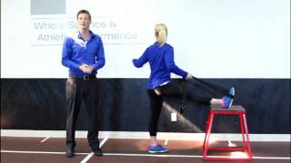World's Best Hamstring Stretch by Dr. Geoffrey Alan Gray