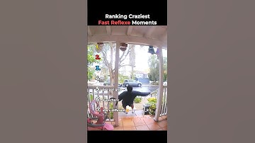Ranking Craziest Fast Reflexe Moments