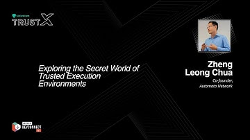 Exploring the Secret World of Trusted Execution Environments