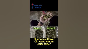 Chamomile flower Chrysanthemum color sorter#machine #factory
