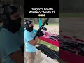 Dragon's breath AK47 - Waste or Worth? #amazing #shots #shorts
