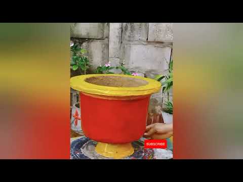 Amazing Creative ideas From Cement - DIY Simple Cement Plant Pots at Home #Shorts 5 @5MinuteCementCrafts88