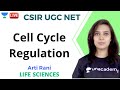 Cell Cycle Regulation | सेल साइकिल विनियमन | Life Science | Unacademy Live- CSIR UGC NET  Arti Rani