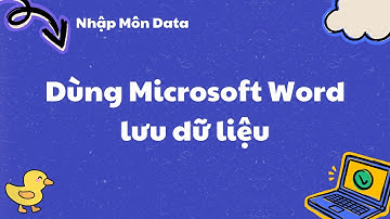Dùng Microsoft Word lưu data dạng chi tiết - Nhập Môn Data