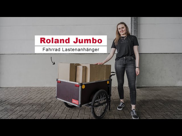hollandrad damen 8 gang Green's Retro Damenrad 28 Zoll, 7-Gang Shimano Nexus – 1200W peak Hitzebeständige Handschuhe: Test & Hinterradgröße:MX 19 Zoll