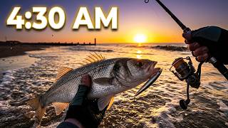 Sea Bass at First Light! | Early Morning Beach Lure Fishing #LureholicTV #basslurefishinguk