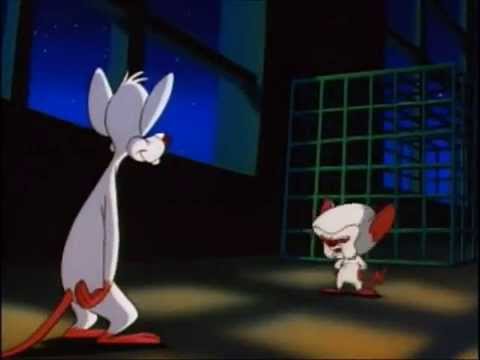 The Same Thing We Do Every Night... - A Pinky and The Brain Compilation