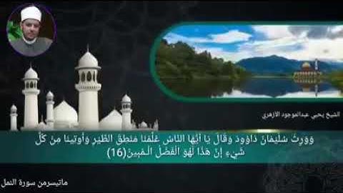ما تيسر من سورة النمل فضيلة الشيخ يحي عبدالموجود الأزهري تلاوة أسطورية