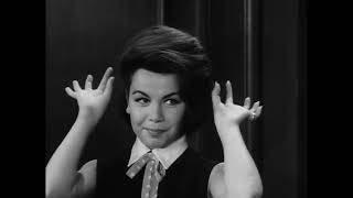 FRACTURED FLICKERS  ANNETTE FUNICELLO