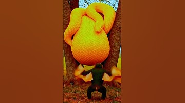 rescue camel from giant python #animals #funny #shorts