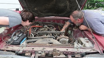 1981 Ford / Mercury Zephyr Cold Start after years sitting