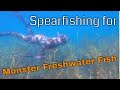 Kraken Spearfishing for monster fish in Traverse City, MI
