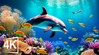 Mysteries Beneath the Ocean 4K ULTRA HD 🐠 - Coral Reefs and Colorful Sea Life - Relaxing Music