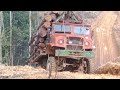 Extreme Dangerous Rainforest Logging Truck