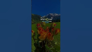 آيات بينات من الذكر الحكيم #اكسبلور #تيك_توك #duet