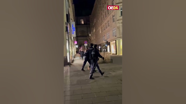 Alkoholisierter Fahrer brüllte: "Ich werfe euch in den Kanal" | Polizei-Einsatz Wien am Graben