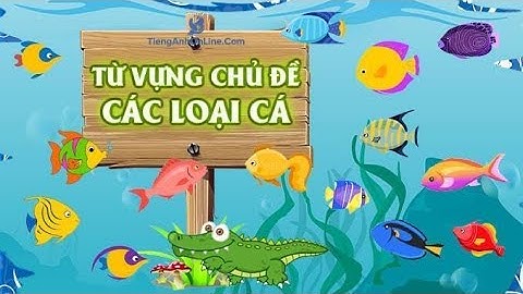 [Các loài cá trong ao] Dạy bé học tiếng anh | Nhận biết các loài cá nước ngọt | Bé vừa học vừa chơi