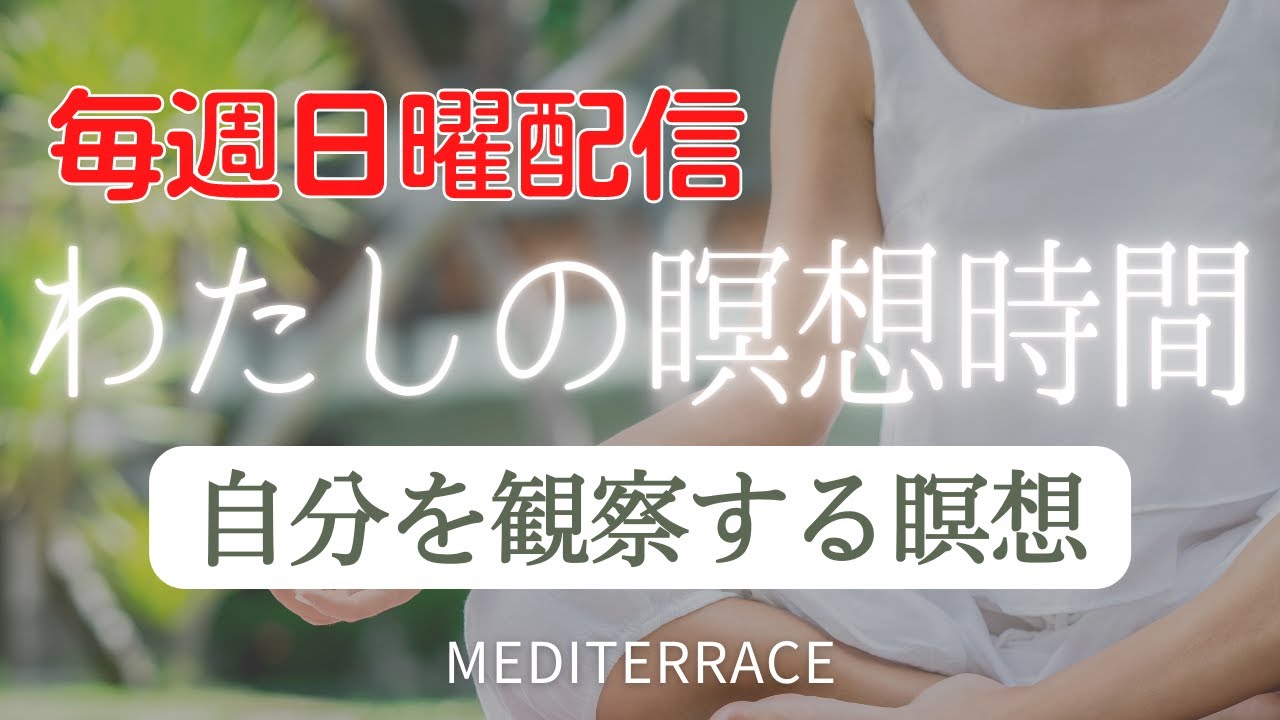 Broadcast Every Sunday] My Meditation Time: Observation Meditation