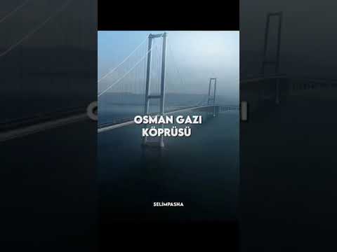 Bekara karı boşamak kolaaay, İşi Yap İşi (Recep Tayyip Erdoğan) #shorts #video #viral #status #king